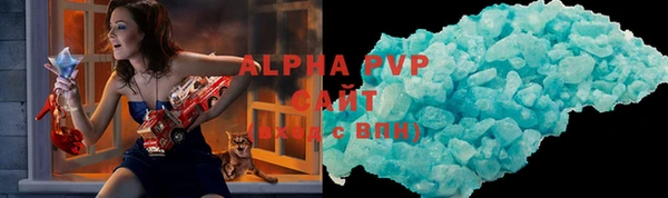 СК Бородино