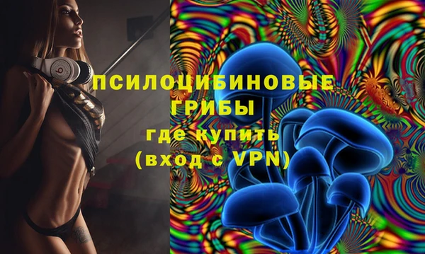 СК Бородино